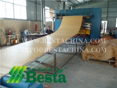 Bamboo Mat Press Machine