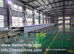 Strand Woven Bamboo Boards/Bamboo Block Pressing Machine (cold press)