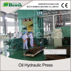 Strand Woven Bamboo Boards/Bamboo Block Pressing Machine (cold press)