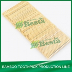 Bamboo Toothpick Making Machine