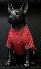26-27 Portugal Home Red Pet Jersey - 3596