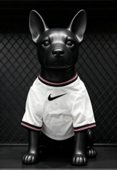 26-27 England Home White Pet Soccer Jersey AAA-3596