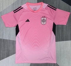 26-27 Spain Goalkeeper Pink Thailand Soccer Jersey AAA-0009