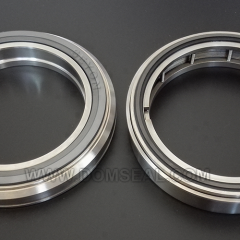 Titanium Seals