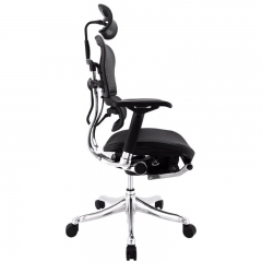 Ergonomic Office Chair with Headrest