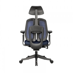 Office Chair -Black Blue Mesh