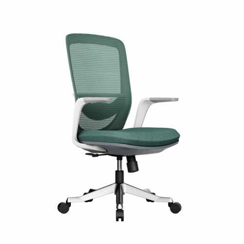 Office Chair -White Green
