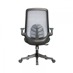 Office Chair -Black-Green Gray