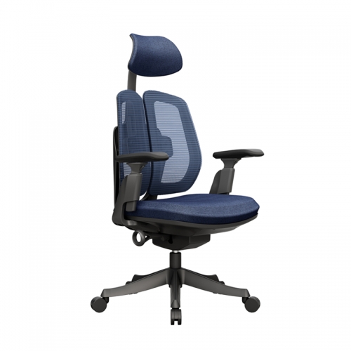 Office Chair -Black Blue Mesh