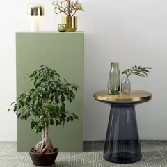 Modern Coffee Table Side table