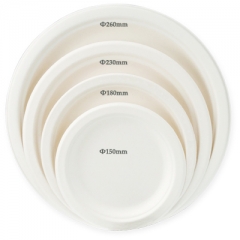 Bagasse Round Paper Plate