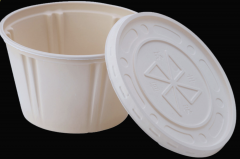 Biodegradable container