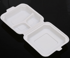 Biodegradable container