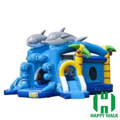 Inflatable Slide Castle Combo