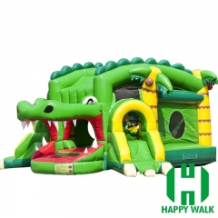 Inflatable Slide Castle Combo