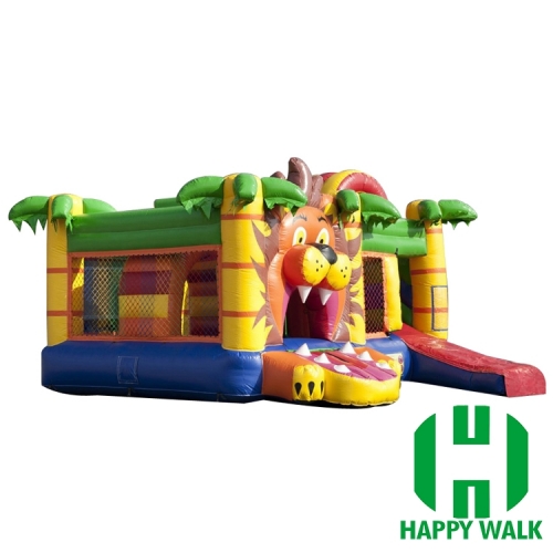 Inflatable Slide Castle Combo