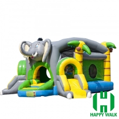 Inflatable Slide Castle Combo