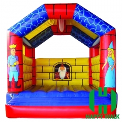 Themed Inflatable Bouncer