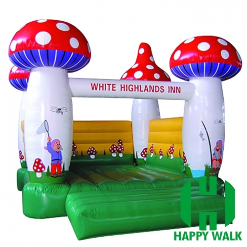 Themed Inflatable Bouncer