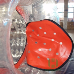 Zorb Ball with Entrance Cover