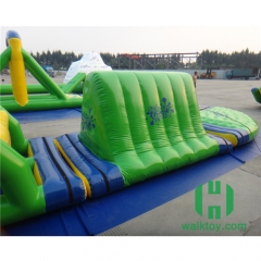 Giant Inflatable Water Park Group