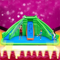 Backyard Inflatable Bouncer Castle Combo