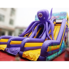Octopus inflatable slide