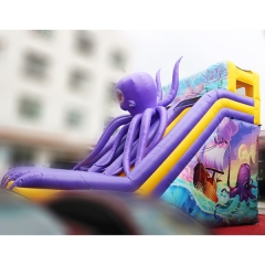 Octopus inflatable slide