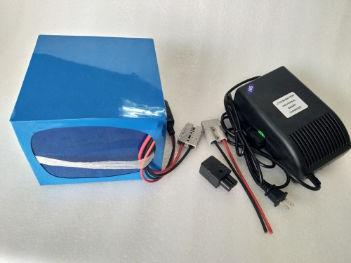 60V20AH Li-ion BATTERY (WITH 5A CHARGER)