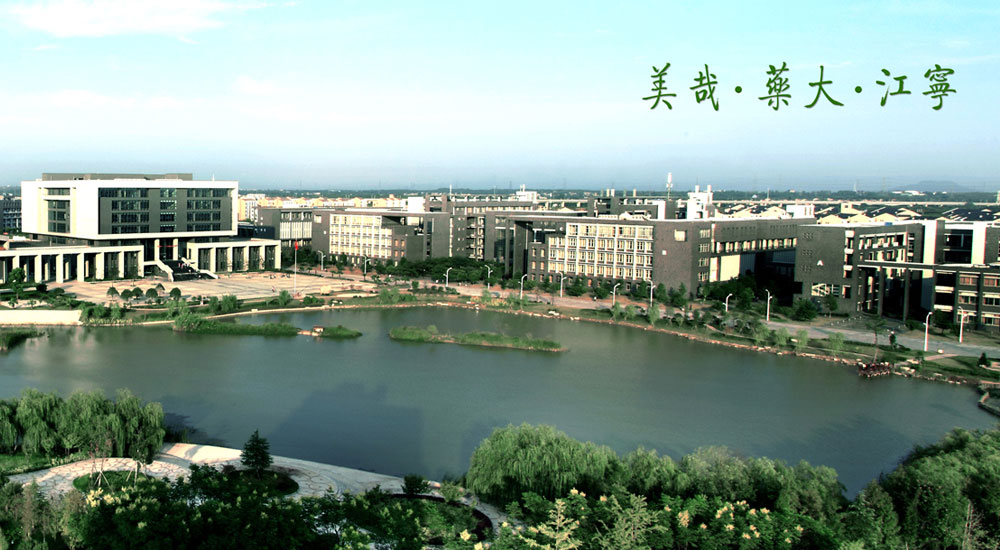 Image result for china pharmaceutical university