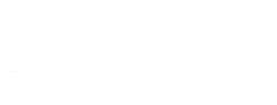 Shanghai University