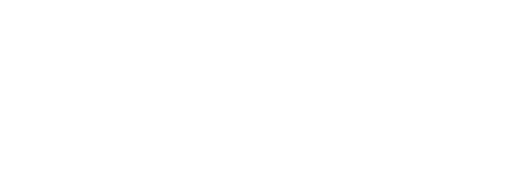 Dongbei University of Finance and Economics