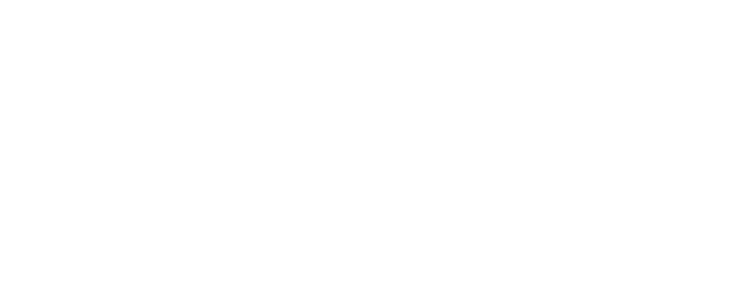 Chongqing University of Technology