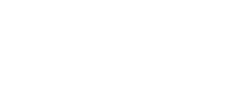 Guangdong University of Finance