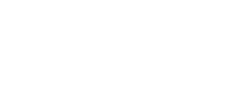 Shanghai University of Finance and Economics