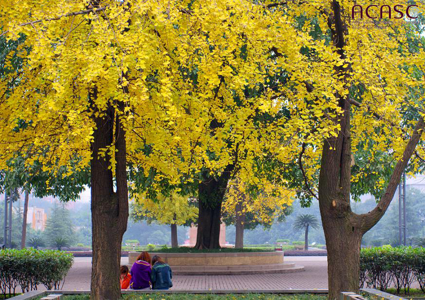 Campus scenery