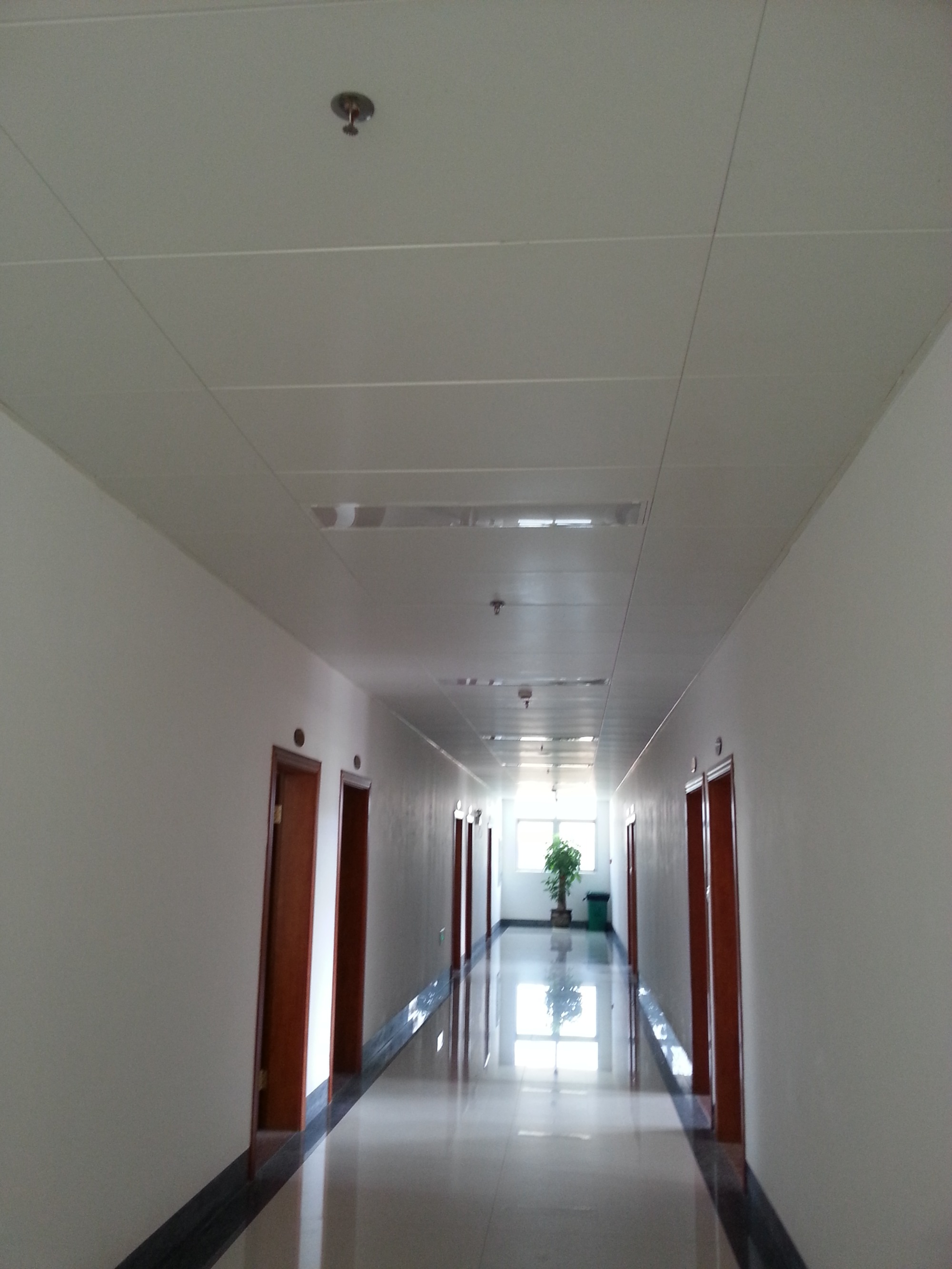 Saiyi Ceilings' Wood Solutions are enhanced, naturally