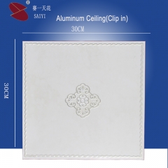 Modern Aluminum Ceiling Tile-Clip in type