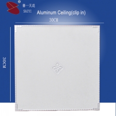 Modern Aluminum Decorative Ceiling-Clip in type