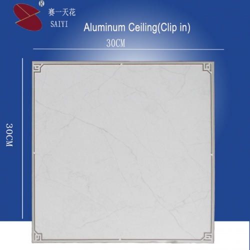 Modern Aluminum Decorative Ceiling-Clip in type