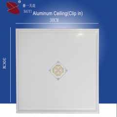 Modern Film coating aluminum ceiling tile-clip in type