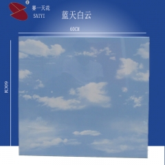 Film-Coating Aluminum Ceiling Tile-Clip in