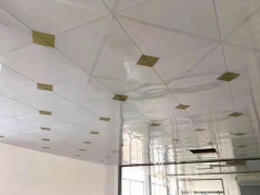 Roller Coating Aluminum Clip Ceiling