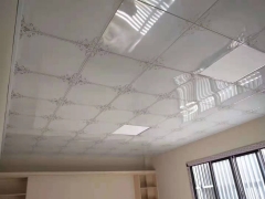 Roller Coating Aluminum Clip Ceiling