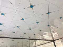 Roller Coating Aluminum Clip Ceiling