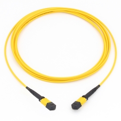 12 Fiber MTP(Male)-MTP(Male) 9/125 Single-mode Fiber Optic Cable