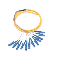 12-fiber E2000/UPC OS2 9/125 Single-mode Bunch Fiber Optic Pigtail