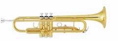 Brass Trumpet for beginners musical instruments sell