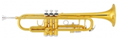 Bb Trumpet Lacquer Finish with ABS case Musical instruments factory in China