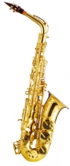 Eb Alto Sax Yellow Brass Body Lacquer Finish with ...